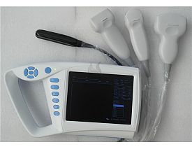 Full Digital Palmtop Ultrasound Scanner