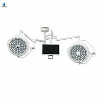 Dual-Head LED Surgical Lamp with Camera & 22inch Display System