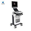 BT-UD91 Full Digital Color Doppler System Portable Ultrasound Machine