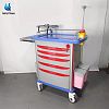 Emergency trolley with Disposable lock