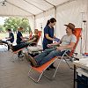 Mobile Manual Blood Collection Chair for Blood Donation and Phlebotomy