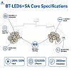 Double Dome LED Surgical Light | Ceiling Shadowless Operating Lamp | BESTRAN