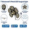 Dual Dome LED Surgical Light 160000 Lux Ceiling Mounted Operating Lamp