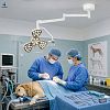 Mobile LED Surgical Light for Operating Room | Shadowless Medical Lamp